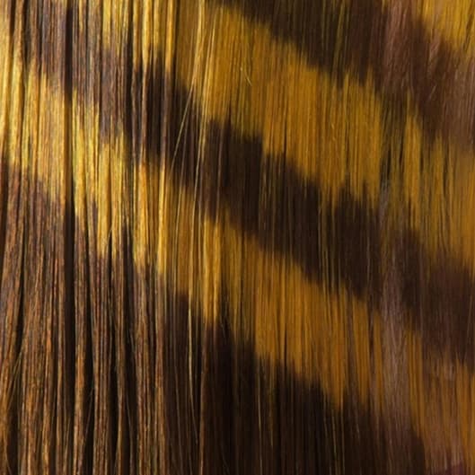 kids cut club (10 & under) at That hair girl by Enid in Lancaster, PA